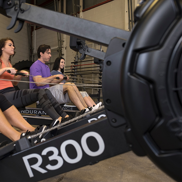 Endurance máquina de remo R300